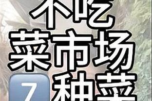 米体：吉达国民明夏为因莫比莱提供3500万年薪 球员开始考虑离队